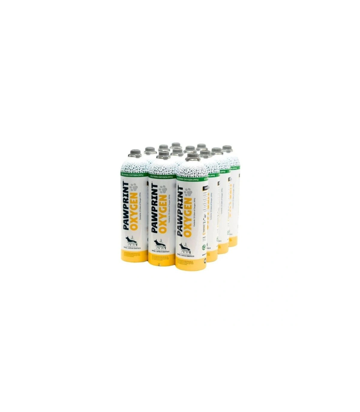 Pet Oxygen Canister