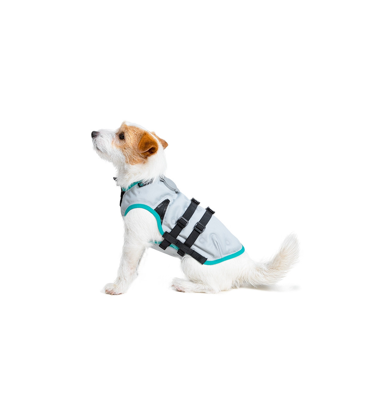 Mit Wasser befüllbare Kühlweste für Hunde | Suitical AquaDry™