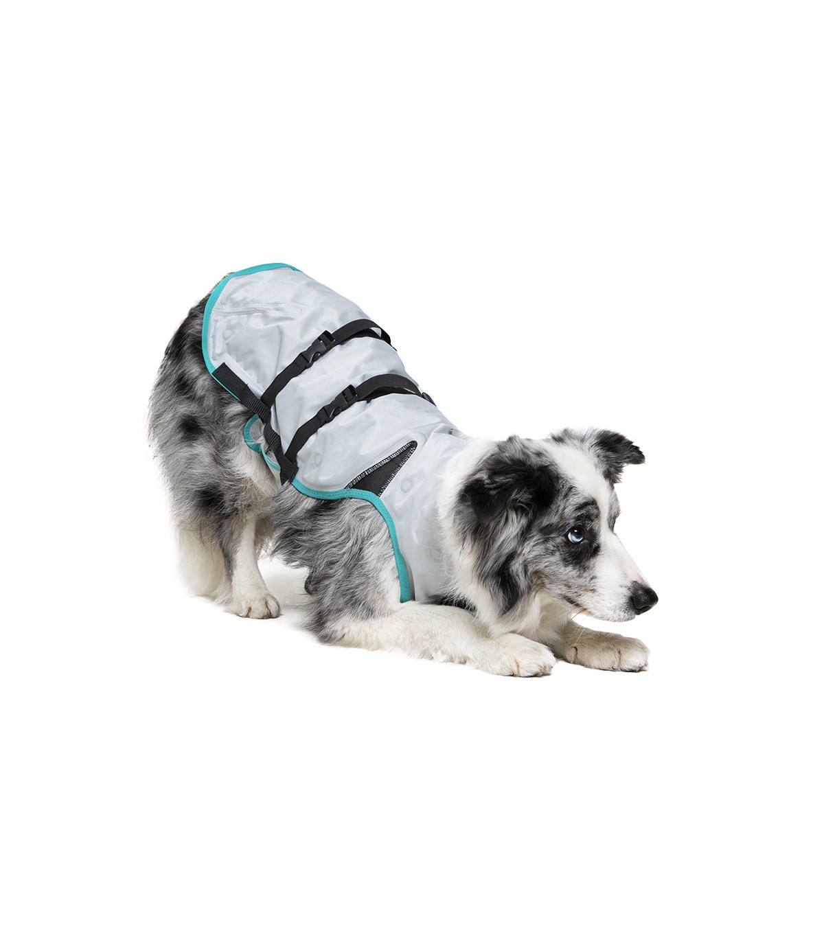 Gilet Refrigerante per Cani ad Acqua | Suitical AquaDry™