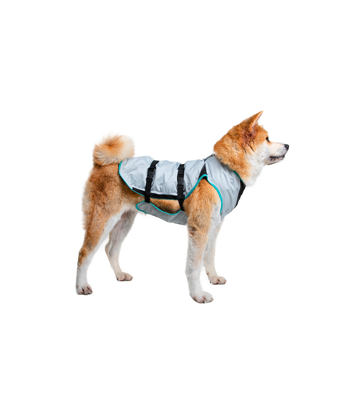 Gilet rinfrescante DRY® per cani